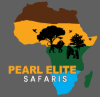 Pearl Elite Safaris